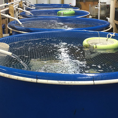 Dura-Cast Products Open Top Round Tank 1000 Gallon (501000)